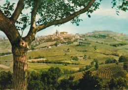 Mango D'alba Panorama - Sonstige & Ohne Zuordnung