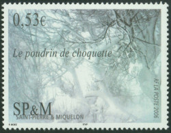 F-EX50326 SAINT PIERRE ET MIQUELON MNH 2006 ART PAINTING SHOCK POWDER.  - Unused Stamps