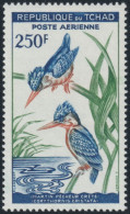 F-EX50305 CHAD TCHAD MNH 1967 250fr BIRD AVES PAJAROS OISEAUX VÖGEL.  - Specht- & Bartvögel