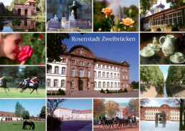 73944100 Zweibruecken_Pfalz Park Rosengarten Schloss Reitturnier Pferdekutschen  - Zweibruecken