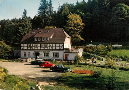 73944030 Fohlenplacken Waldhotel Alte Muehle - Holzminden