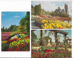 Germany. Isle Of Mainau In Lake Constance. Bodensee. 3 Illustrated View Posted Postcards - Lindau A. Bodensee