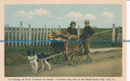 R036846 Un Attelage De Chien D Habitant De Gaspe. P. Q. H. V. Henderson - Monde