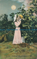 R037135 In The Shade Of The Old Apple Tree. Bamforth. 1908 - Mondo