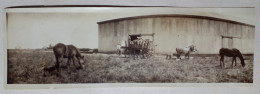 Photographie - Hangar De Stockage De Céréales (29cm X 8,5cm). - Professions