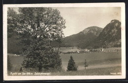 AK Fuschl Am See /Salzkammergut, Blick übers Ufer  - Otros & Sin Clasificación