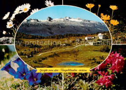 73795787 Tauplitzalm 1650m Dachstein AT Panorama Dachsteingebirge Alpenflora  - Autres & Non Classés