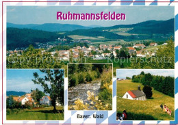 73251205 Ruhmannsfelden Panoramen  Ruhmannsfelden - Other & Unclassified