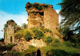 73251120 Schoenau Pfalz Burgruine Hohenburg Schoenau Pfalz - Sonstige & Ohne Zuordnung