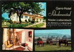 73249976 Nieder-Liebersbach Garni Hotel Schelmental Pferdekoppel Nieder-Liebersb - Altri & Non Classificati