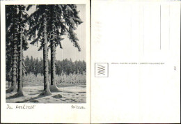 716498 Verlag Walter Niessen Gräfelfing München Hochwald Bäume Winter Schnee - Photographs