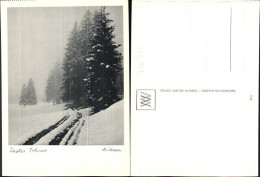 716484 Verlag Walter Niessen Gräfelfing München Erster Schnee  - Fotografia