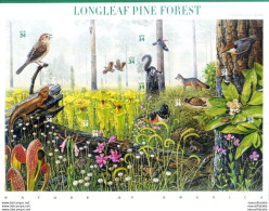 Pinete A Foglia Lunga 2002. - Blocs-feuillets