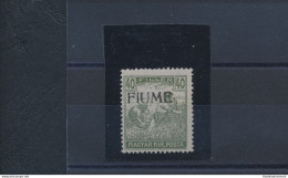 1918-19 Fiume, N° 13 , 40 Filler Oliva , Mietitore E Veduta ,Varietà Decalco Non Catalogato , MNH** - Autres & Non Classés