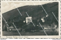 Bd236 Cartolina Laurana Ville Al Mare 1943 Croazia - Other & Unclassified