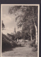 Ansichtskarte Tangermünde Sachsen Anhalt Am Burgwall Kirche Religion Park - Otros & Sin Clasificación