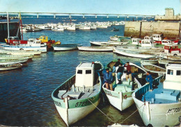 Ref ( 20574  )  Ile D'Oléron - Ile D'Oléron