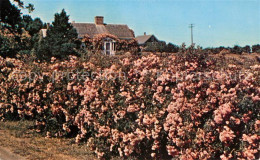 73123710 Cape Cod Mass. Rose Covered Cottage Cape Cod Mass. - Other & Unclassified