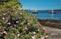 73123577 Cundys_Harbor_Maine Commerical Fishing Boats Flowers - Otros & Sin Clasificación