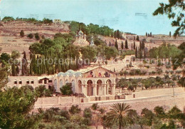 73120157 Jerusalem Yerushalayim Basilica Gethsemane Jerusalem Yerushalayim - Israël