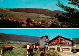 13901996 Lamboing Panorama Ortsmotiv Viehweide Kuehe Lamboing - Sonstige & Ohne Zuordnung