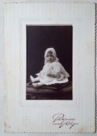 Photographie - Portrait D'un Bébé. - Anonyme Personen