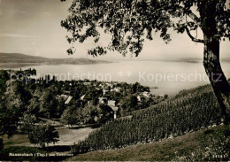 13843096 Mannenbach Untersee Panorama Mannenbach Untersee - Other & Unclassified