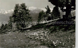 13842636 Chandolin Sierre VS Paysage D’ete Wildhorn  - Autres & Non Classés