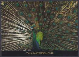 Sri Lanka Ceylon Mint Unused Airmail Postcard Yala National Park, Peacock, Indian Peafowl, Bird, Birds, Post Card - Sri Lanka (Ceylon)