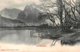 13816196 Walensee Wallensee SG Seepanorama  - Altri & Non Classificati