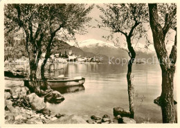 13793216 Brissago Lago Maggiore TI Panorama  - Other & Unclassified