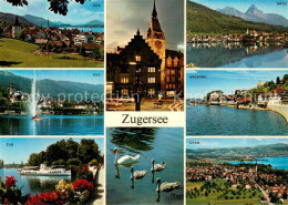 13757716 Zugersee Zug Fahrgastschiff Rathaus Arth Walchwil Cham Zugersee - Otros & Sin Clasificación