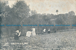 R038865 Galicia. En El Campo. B. Hopkins - Welt