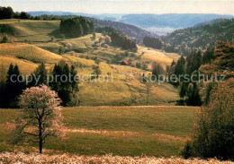 13756176 Sitzberg ZH Panorama  - Autres & Non Classés