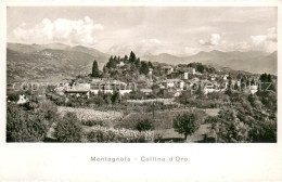 13729316 Montagnola TI Collina D Oro - Other & Unclassified