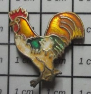 1818A Pin's Pins / Beau Et Rare / ANIMAUX / COQ MULTICOLORE VENANT DE SE ROULER DANS LA BOUE - Dieren