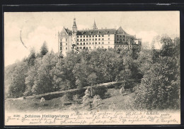 AK Heiligenberg / Baden, Schloss Heiligenberg  - Baden-Baden
