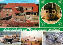 73246963 Norddeich Ostfriesland Seehundaufzucht Forschungsstation Saebelschnaebl - Other & Unclassified