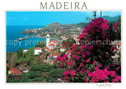 73246791 Funchal Panorama Blick Von Westen Blumen Funchal - Sonstige & Ohne Zuordnung