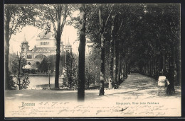 AK Bremen, Allee Beim Cafe Parkhaus Am Bürgerpark  - Bremen