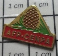 1818A Pin's Pins / Beau Et Rare / MARQUES / AFP CENPA POMME DE PIN - Marques