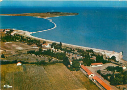 Port Des Barques - Vue Aérienne - Le Camping    Y 235 - Other & Unclassified