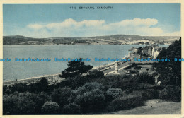 R039431 The Estuary. Exmouth. Dennis. Photoblue - World