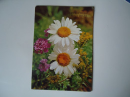 GREECE  POSTCARDS 1986 FLOWERS     MORE  PURHASES 10% DISCOUNT - Flowers