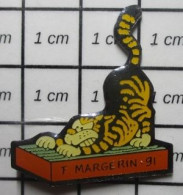 1818A Pin's Pins / Beau Et Rare / ANIMAUX / CHAT TIGRé  Par MARGERIN - Football