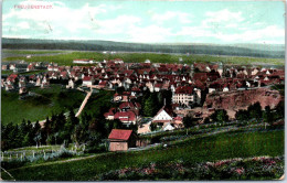 ALLEMAGNE - FREUDENSTADT - Vue Générale  - Otros & Sin Clasificación