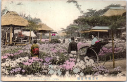 JAPON - Iris Garden At Horikiri Tokyo  - Sonstige & Ohne Zuordnung