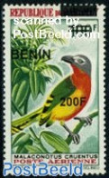 Benin 2008 Bird, Overprint 1v, Mint NH, Nature - Birds - Ungebraucht