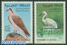 Morocco 1996 Birds 2v, Mint NH, Nature - Birds - Birds Of Prey - Autres & Non Classés