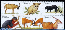 Gambia 1996 Animals 6v [++], Mint NH, Nature - Animals (others & Mixed) - Cat Family - Monkeys - Gambie (...-1964)